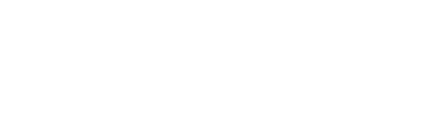 11xFlix