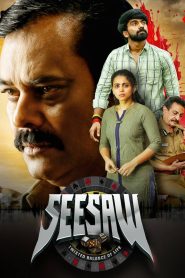 See Saw